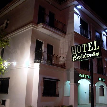 Hotel Calderon Cenes De La Vega Exterior photo
